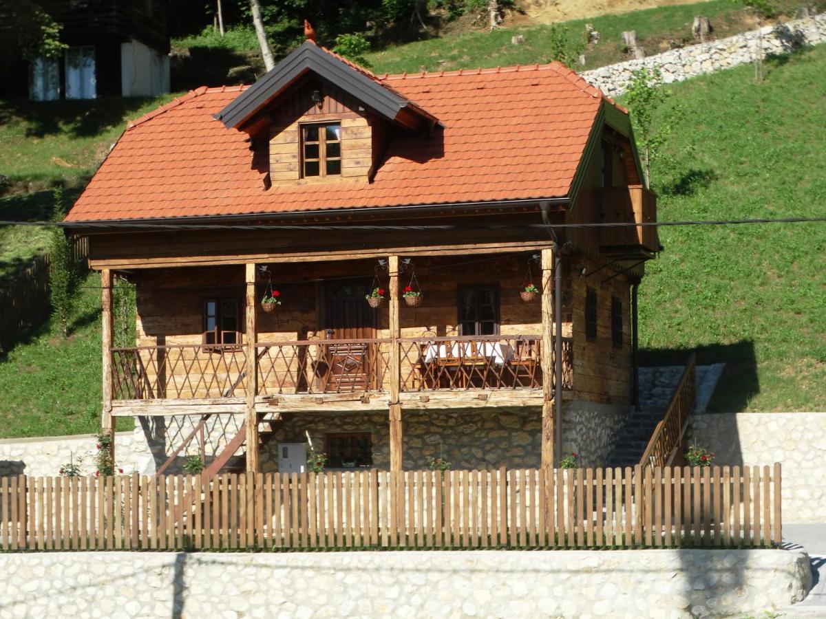 Vila Trnoruzica